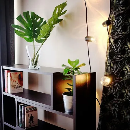 Great Modern *